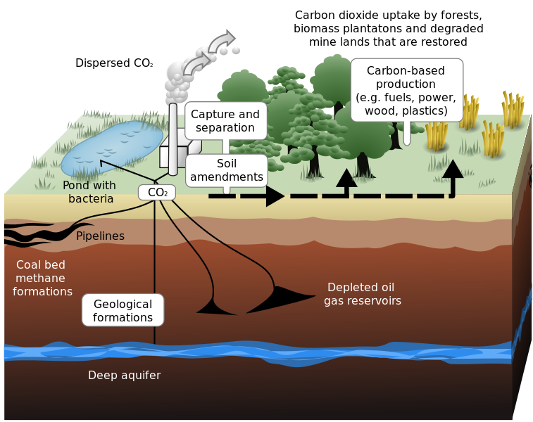 Carbon sequestration 2009 10 07