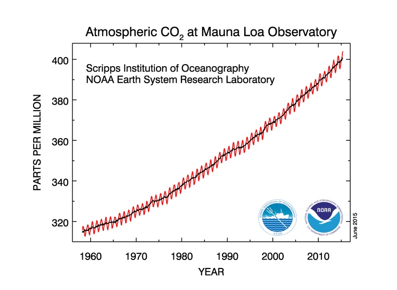 co2 data mlo