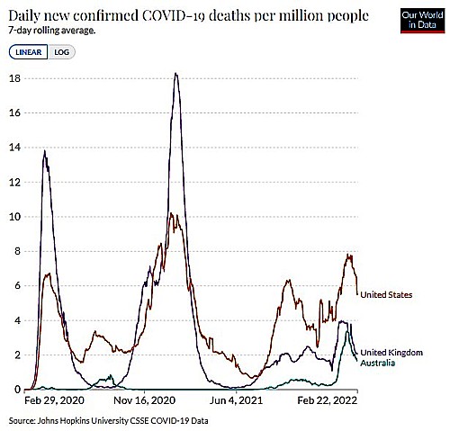 Daily Covid deaths per million