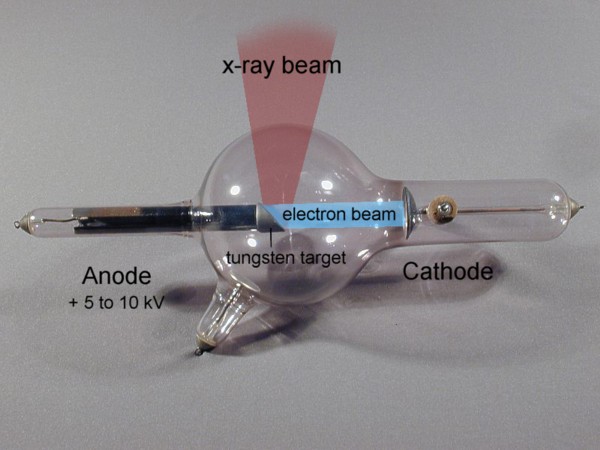 x ray roentgen tube labels